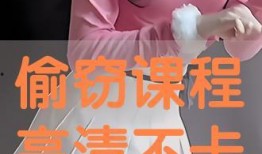 偷窃课程在线观看,在线观看背后的秘密与风险